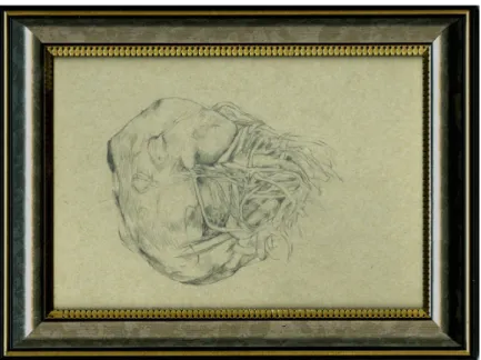 Fig. 1.7: Angela Eve Marsh, Biophilia framed #2, 2018, recuperated frame, graphite on recycled paper
