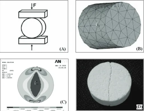 Figure 3.18 shows the principle of Brazilian test (A) and the modelling by the finite elements  method (B)