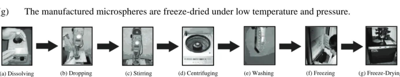Figure 2.5: Schematic procedure of the processing of PLGA microsphere scaffolds. 