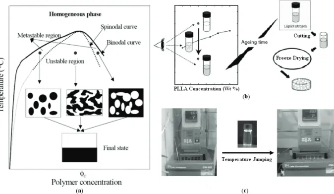 Figure 2.8: Schematic preparation processing of thermally induced phase separation method