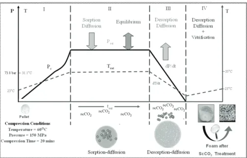 Figure 2.20: Evolution of process parameters and the occurring phenomena during the foaming with time
