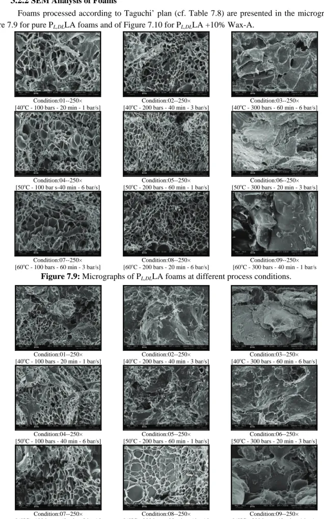 Figure 7.9: Micrographs of P L,DL LA foams at different process conditions. 