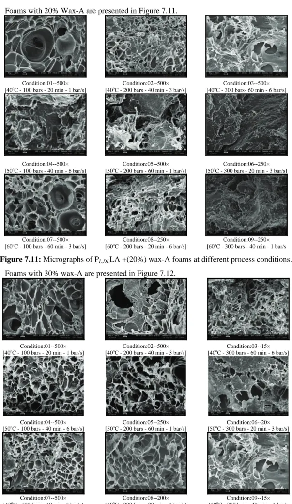 Figure 7.11: Micrographs of P L,DL LA +(20%) wax-A foams at different process conditions