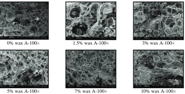 Figure 7.15: Micrographs of foams obtained by simple mixing of polymer and wax and processed -  at [T sat  45°C, P sat   120 bars, t sat   20 min, dP/dt  3bar/s]