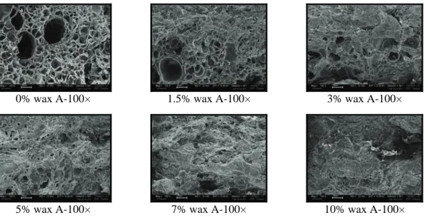 Figure 7.17: Micrographs of foams obtained by co-grinding polylactide and fillers processed at T sat 