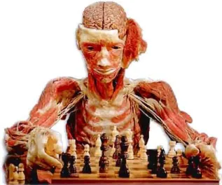 Figure 4.3  :  Gunther von  Hagens.  The  Chess Player,  1997. 