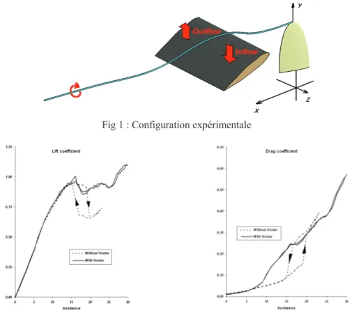 Fig 1 : Configuration expérimentale 