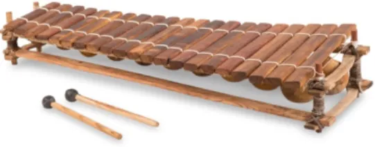 Figure  1  –  Le  balafon  malinké  diatonique  à  21  lames.  