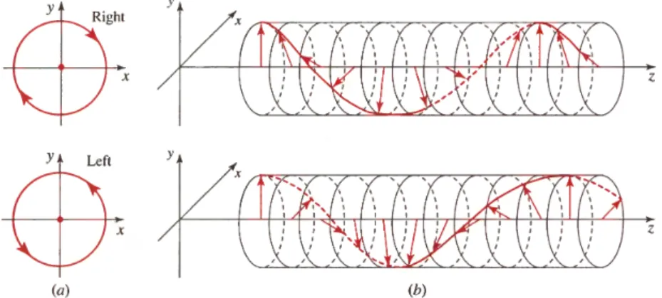 Figure 2.9: Trajectories of the endpoint of the electric-field vector of a circularly polarized plane wave