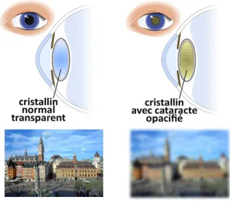 Figure 6 : Illustrations réalisées pour le nouveau document 