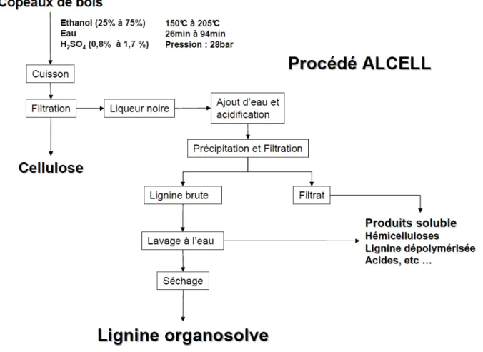 Figure I.1. 11 - Extraction de la lignine dans de l'éthanol aqueux et acide 16
