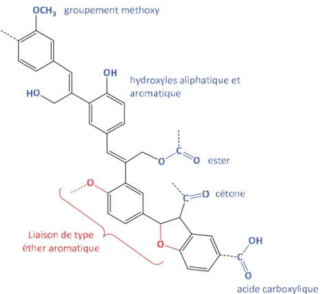 Figure I.2. 6 - Structure d'un fragment de biolignine TM  de paille de blé 
