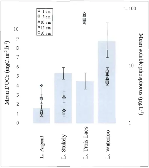 Figure  2.2  Mean  DOC  release  rates  (Ieft  axis,  histogram)  and  mean  soluble  phosphorus  measured  From  sediment  cores  (right  axis,  .,  .,  Â,  X,  and  •  representing  the  different  sampling depth)  for four  studied  lakes