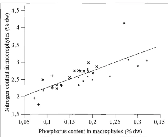 Figure 2.5  ReJationship  between  nitrogen  and  phosphorus  content  in  rnacrophytes 