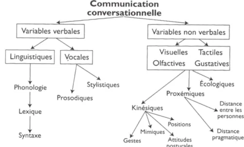 Figure 3 : Variables en jeu dans une communication face à face (Dumont, 2008)