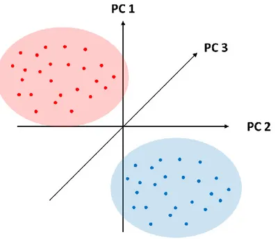 Figure 8 – Graphique des scores : projection des individus dans le nouveau repère définis  par les nouvelles variables, les composantes principales  