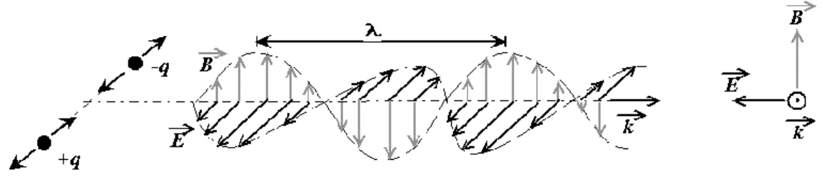 Figure 4 : Représentation schématique d’une onde électromagnétique : oscillation couplée du champ électrique et  du champ magnétique [11] 