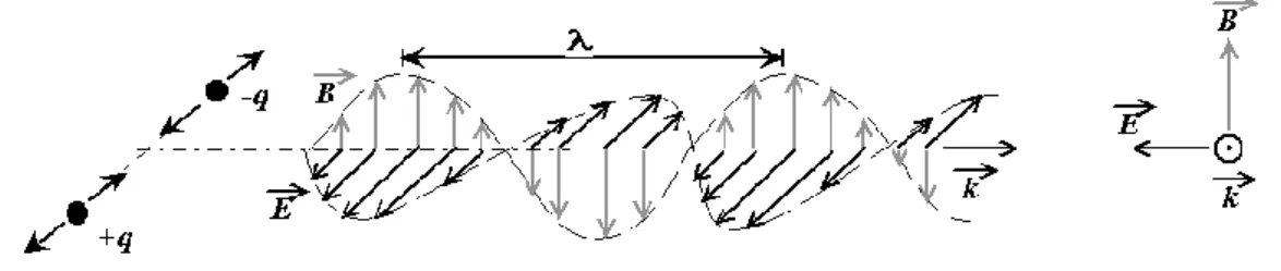 Figure 4 : Représentation schématique d’une onde électromagnétique : oscillation couplée du champ  électrique et du champ magnétique [10] 
