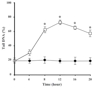 Fig. 4. Time-dependent DNA strand-breakage induced by lead nitrate in whole plant roots