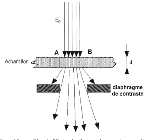 Figure  1.9	  Cône  de  diffusion  des  électrons  dans  un  microscope  élec­