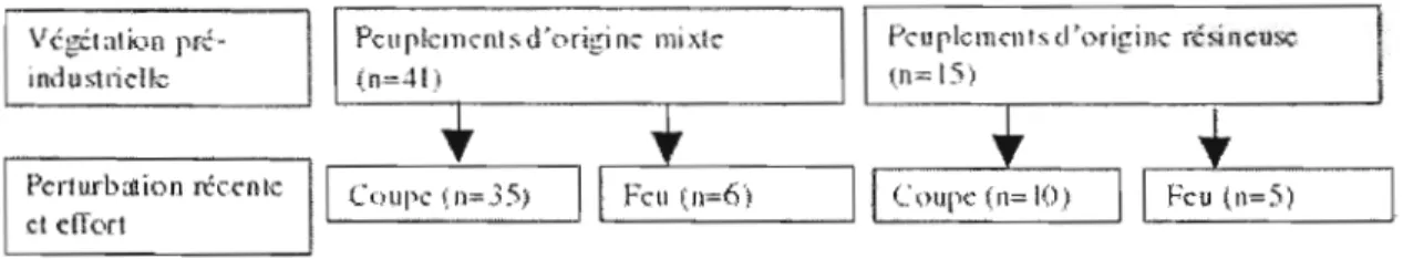 Figure 2:  Structure de l'échantillonnage 