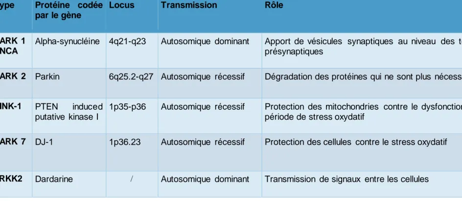 Tableau n°1 : Les formes héréditaires de la maladie  de Parkinson  d’apparition précoce  Type Protéine codée 