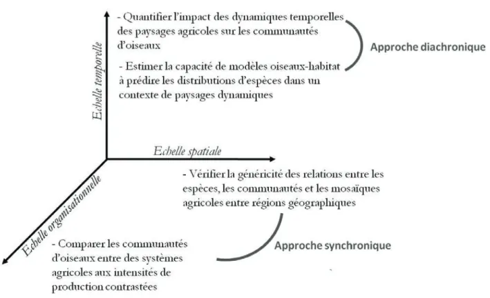 Figure 3 Définition des objectifs de la thèse en fonction des trois échelles qui caractérisent les forces motrices  des paysages, et approches utilisées pour répondre à ces objectifs