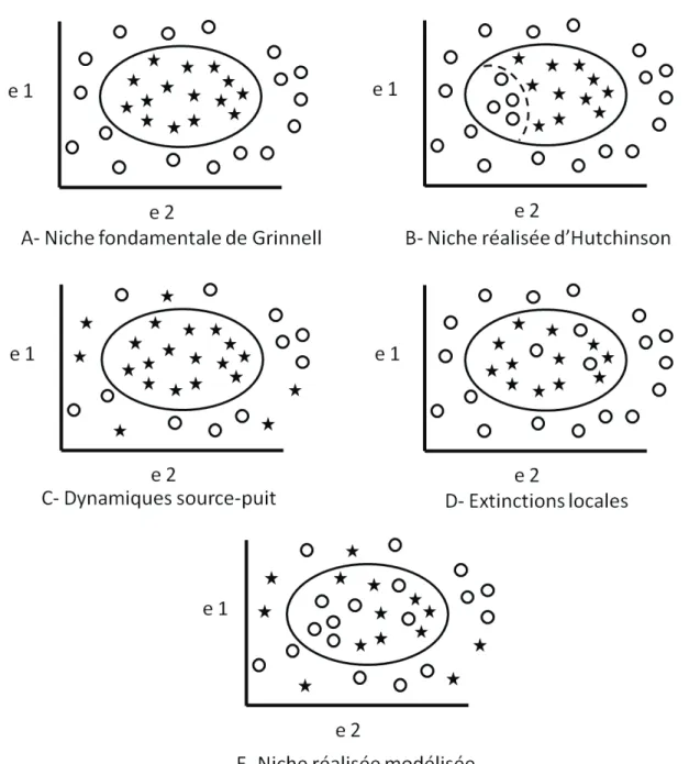 Figure  5  Cinq représentations  de  la relation  entre  la  niche  et  la  distribution  d’une  espèce