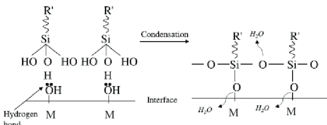 Fig. 4. Schéma simplifié du mécanisme de liaison entre le silane et la surface du métal [9].