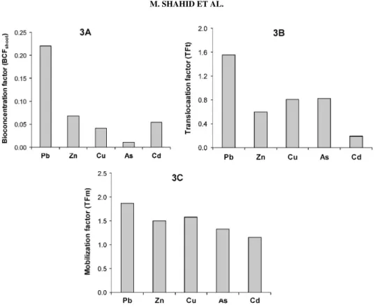 Figure 3 Comparison of shoot bio-concentration factors, BCF shoot (a), translocation factors, TF t (b), and mobi- mobi-lization factors, TF m (c), of Pb, As, Cu, Zn, and Cd.