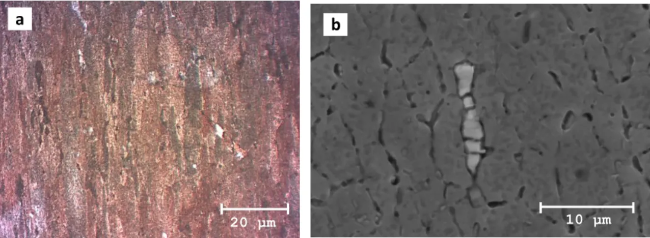 Fig.  II.10.  a)  Microstructure  of  aluminum  alloy  (series  7000)  showing  elongated  grains,  observed  by  optical microscopy with polarized light b) precipitates observed by scanning electron microscopy