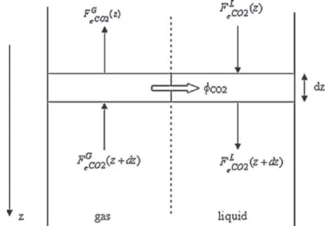 Fig. 6 – Single element to model packed bed of experimental columns, and estimate mass transfer parameters