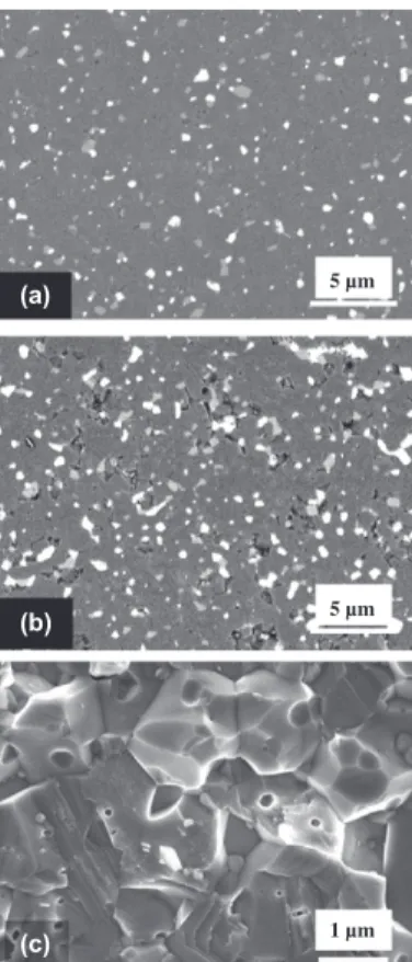 Table 1. Density (q), matrix grain size (D), intergranular metal particles size (d), proportion of intergranular metallic phase (P) as deduced from TGA (see text for details), fraction of surface area occupied by metal particles (S m ), fraction of surface
