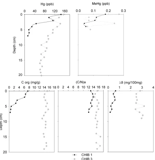 Fig. 3a shows the relationship between S/V and C/V ratios in the sediments of all studied lakes