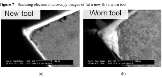 Figure 7  Scanning electron microscopy images of (a) a new (b) a worn tool 
