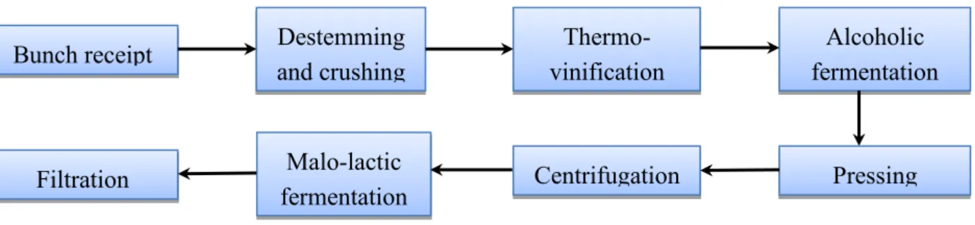Figure III.1.2: Vinification scheme used to elaborate the red wine 