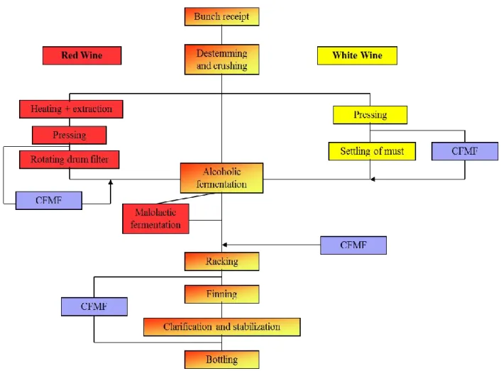 Figure I.5: The processes of red and white wines making and the uses of CFMF as alternative  technique