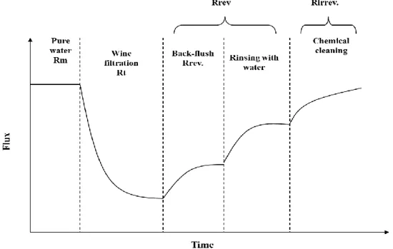 Figure I.9: Schematic representation of the filtration protocol used to determine resistances-in- resistances-in-series adapted to wine filtration from [57]