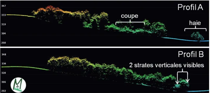 Figure 4 - Profils en travers du semis de points sur le bois de la Broquère chez 2 propriétaires du bois obtenus avec   le logiciel LP360