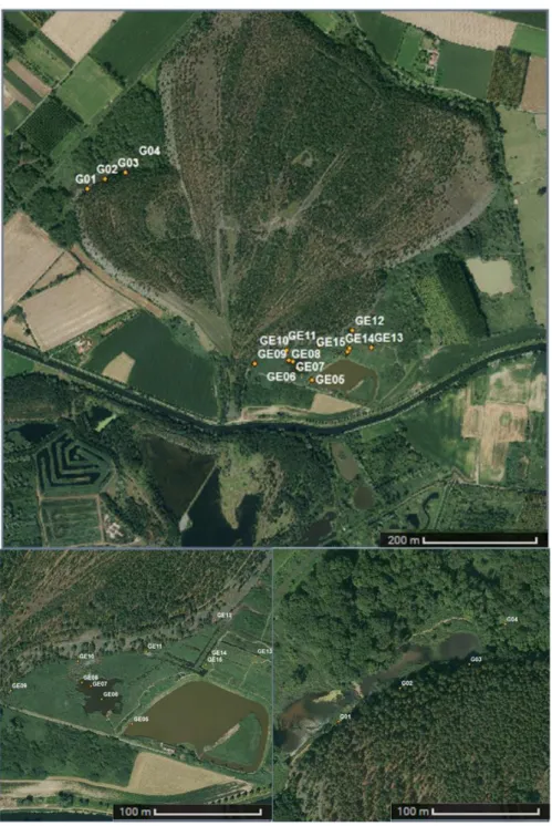 Figure 2 : Localisation des points de prélèvement autour du Terril de Germignies-Nord.