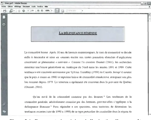 Figure 3.4  : Document récupéré après l'exécution d'une requête 