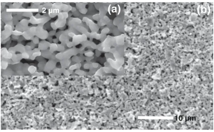 Fig. 1 ESEM image of the cathodic layer. (a) Image obtained with a magnification of 15,000