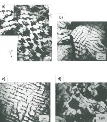 Figure 2-19 Some low energy dislocation configurations observed in a ferritic steel: a) matrix  structure; b) walls; c) labyrinth; d) cells [55] 