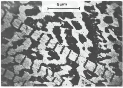 Figure 2-20 The ladder-like structure of PSB in copper crystal [57] 