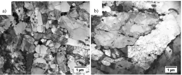 Figure 2-21 Microstructure of GP91 cast steel in the as received condition (a) and after LCF  at strain amplitude ε ac =0.25% and at 600°C (b) [61] 