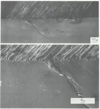 Figure 2-35 Cross-sections of extrusions, intrusions and cracks observed in copper single  crystals after approximately 300 kilocycles of loading [80] 
