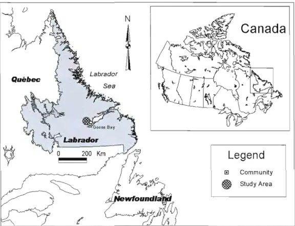 Figure 1.1  - Map of study area 