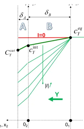Figure A1-6 : Conventions et notation adoptées pour une espèce Y amenée et  consommée au sein du composant à travers deux couches 