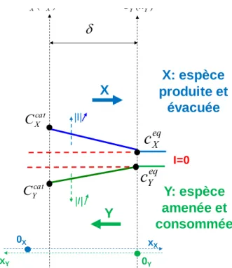 Figure A1-1 : Conventions et notation adoptées pour l’étude de la diffusion à travers une  couche 