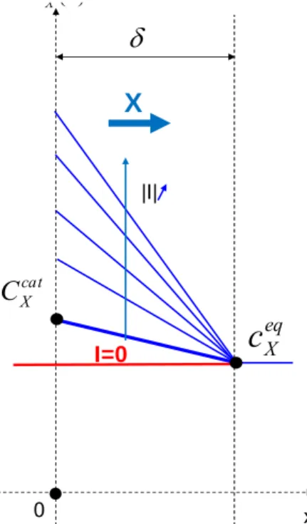 Figure A1-2 : Conventions et notation adoptées pour une espèce X produite et évacuée  du composant à travers une couche 